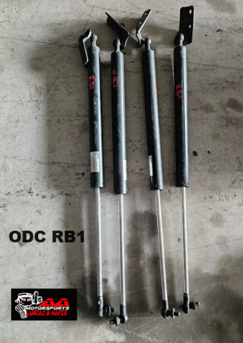 ODC RB1