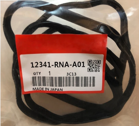 12341-RNA-A01-OG RN6