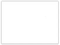 純白色 (W-970-SM)