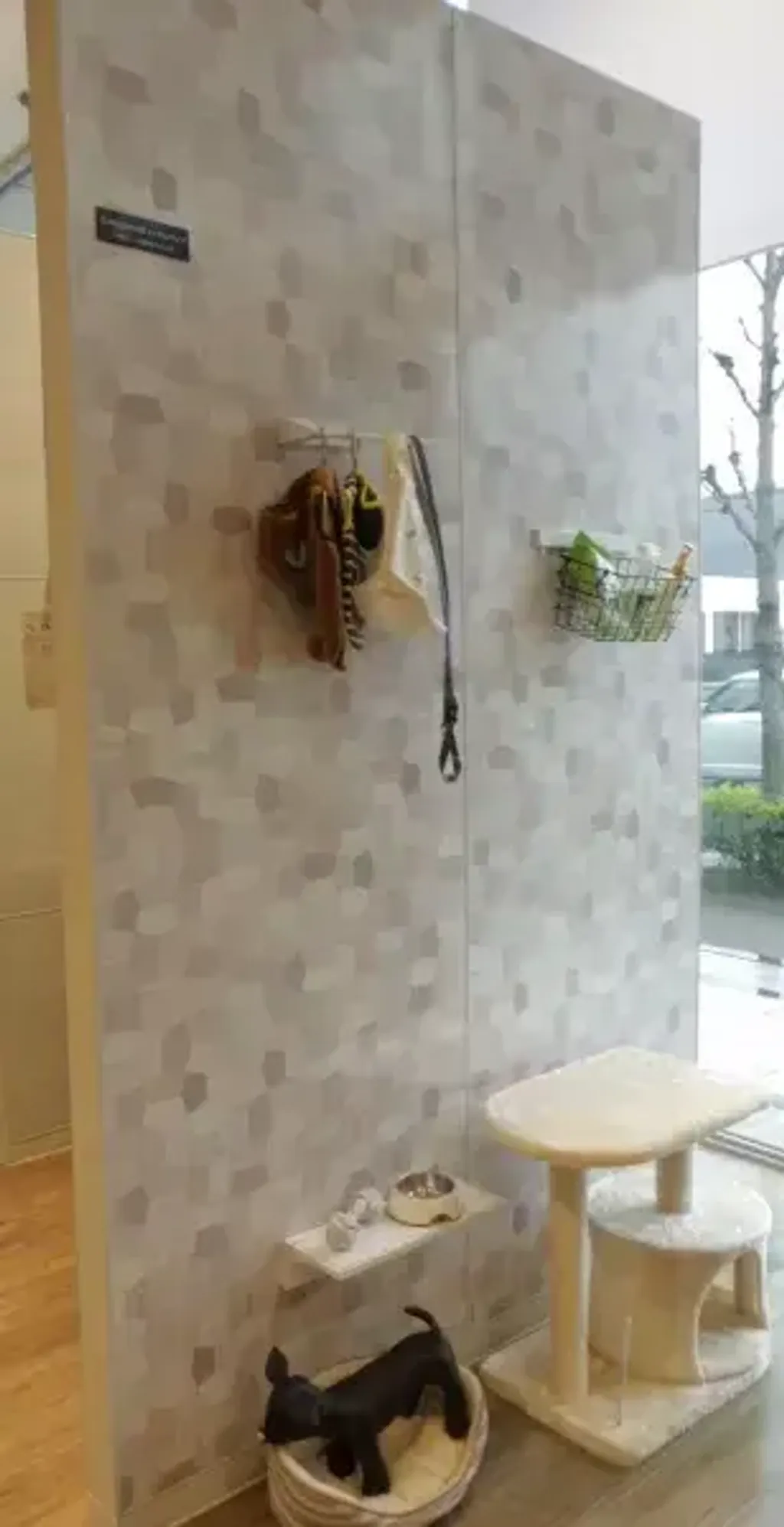 _files_productwl_Shop_folder_takasaki_CIMG2508_JPG_w308px_h600px