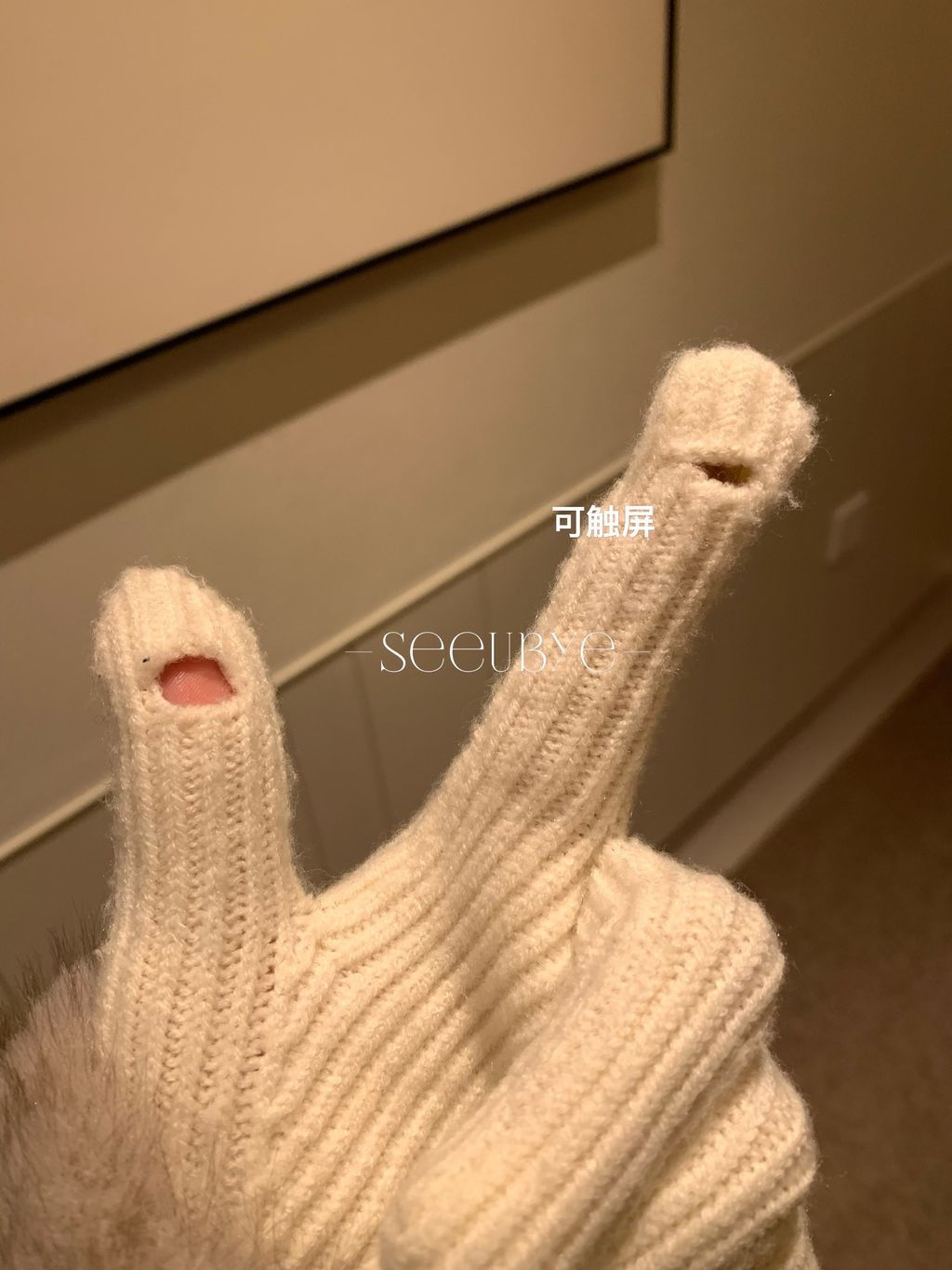 image_1B07F8E6-6035-4F2A-992C-7ADEE744BCED_1765334904