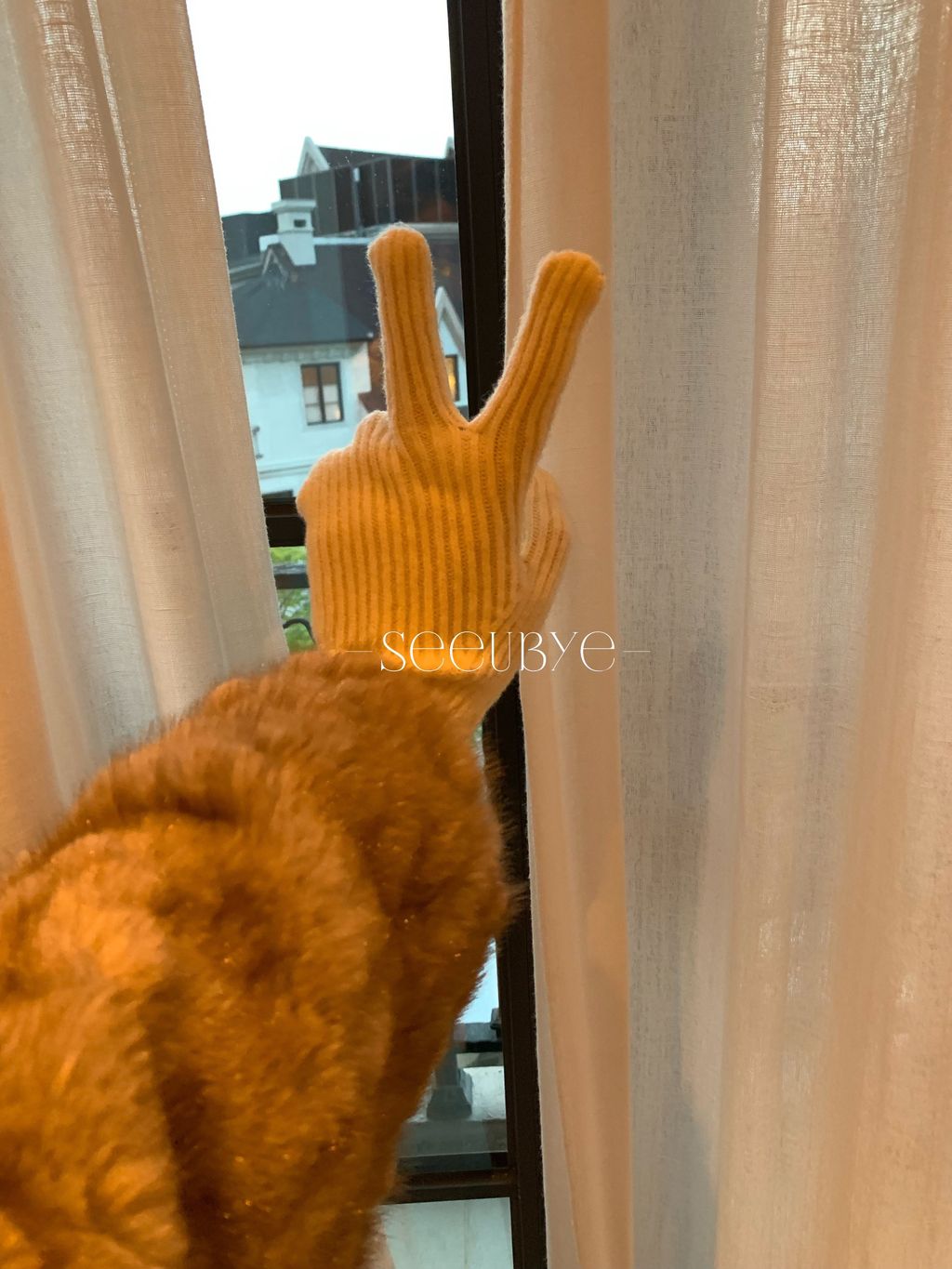 image_04CC04EE-E2E1-40CC-972B-1496B3E07F04_1765334904