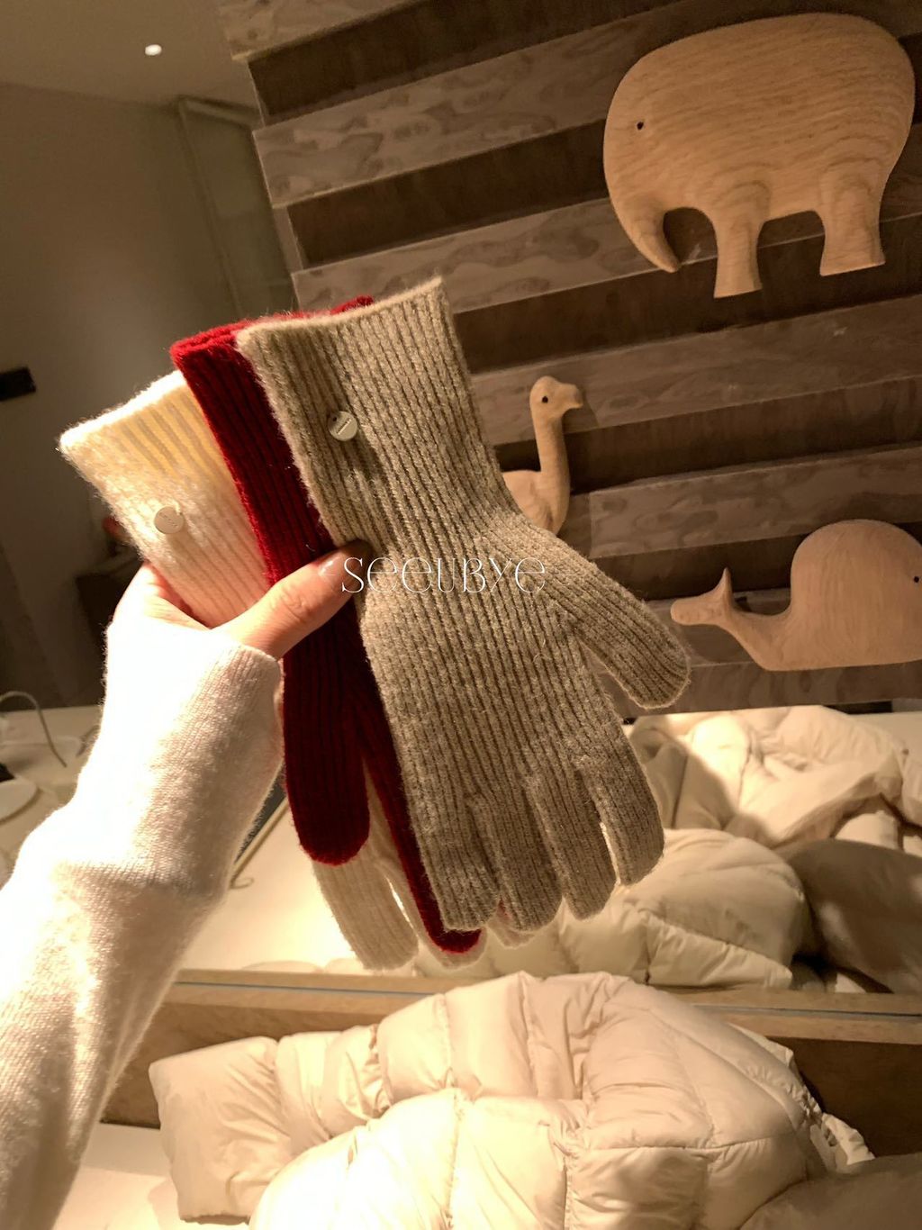 image_06C77745-402F-4B05-BADD-093AB14138DF_1765334904