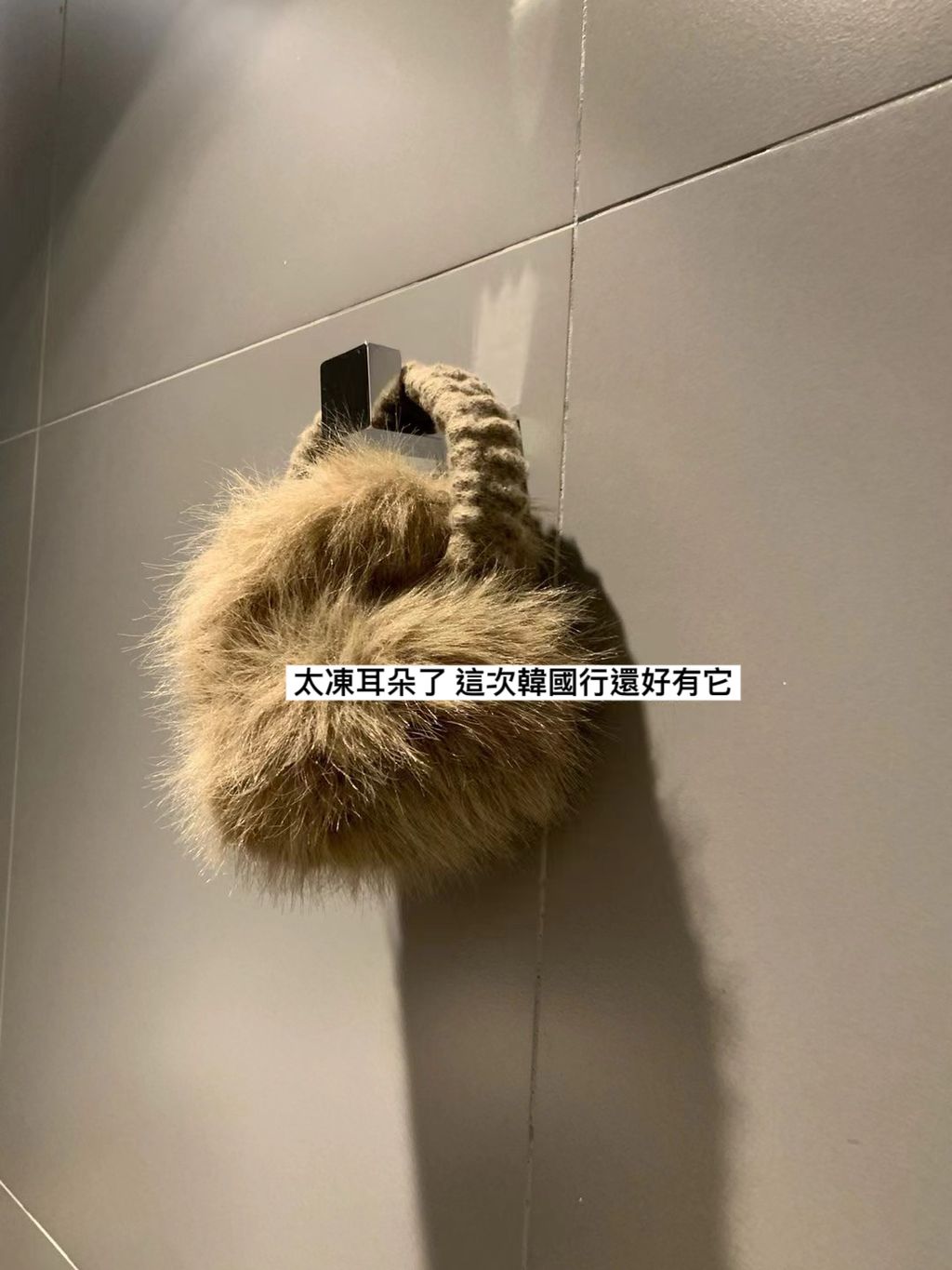 image_E667F0D2-0595-4365-B52E-5DB873D5A740_1765337404