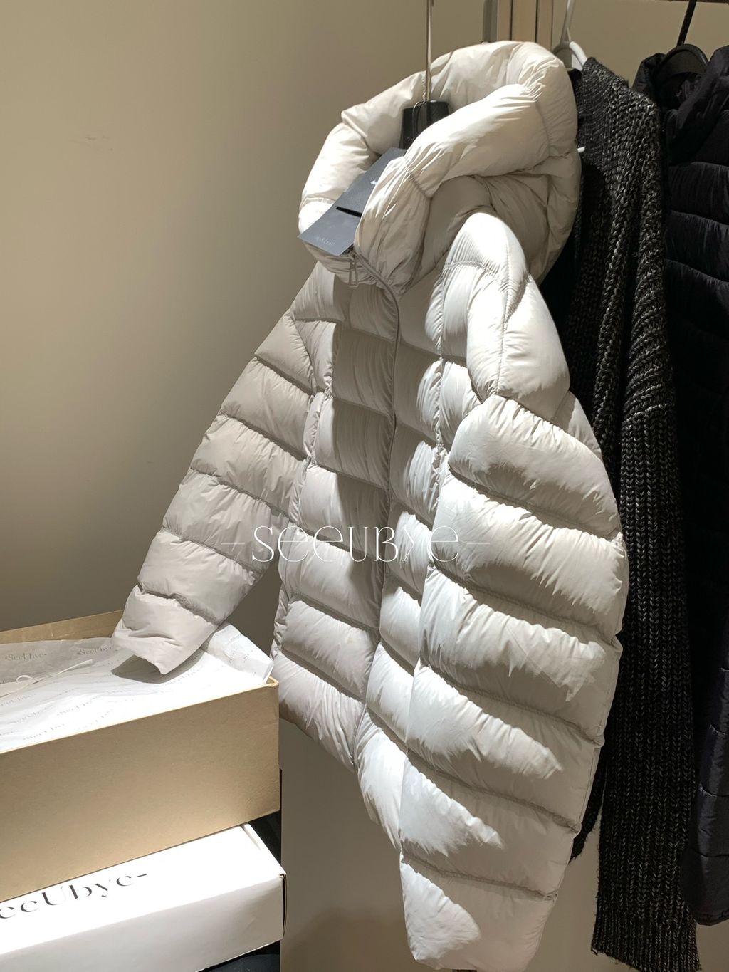 image_388ADE40-376A-432B-8C07-88785295BCD9_1766241313