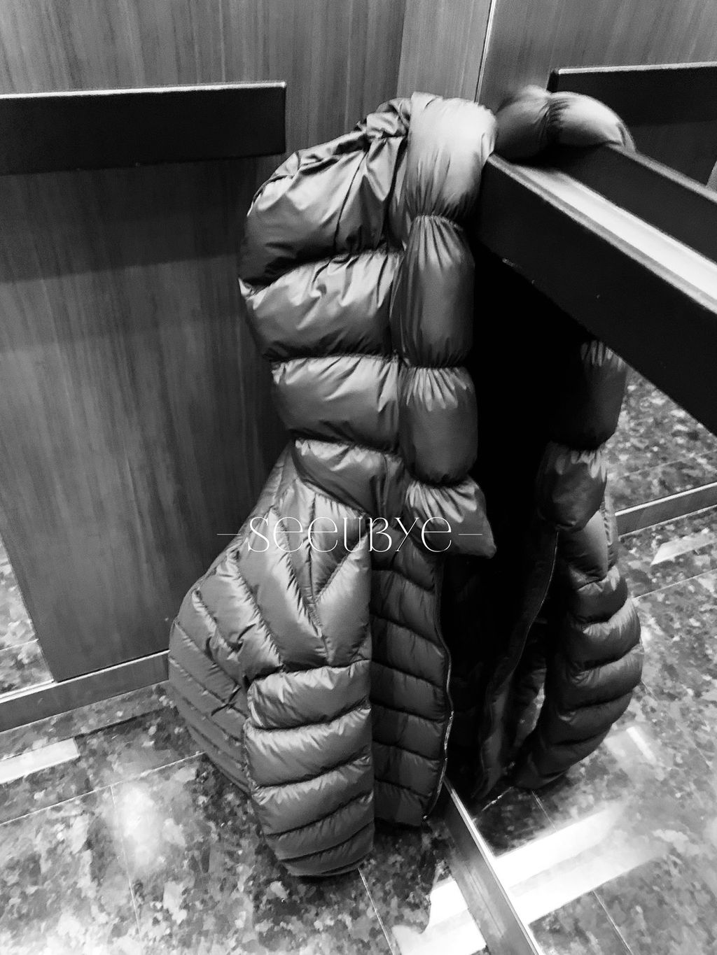 image_14D5FFDB-6434-4FD3-B29E-F3FDEEE9CB52_1766241313