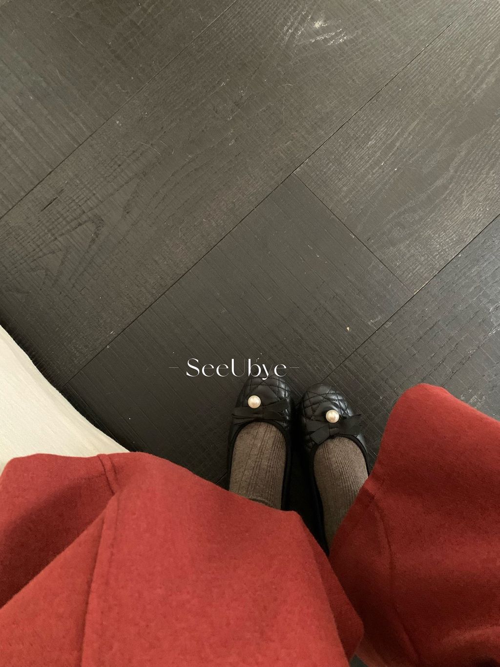 image_91EFF945-B806-43E1-BAC0-A8E5FDF10128_1767110149