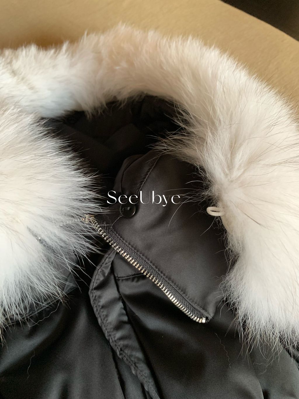 image_28F3DCB5-7404-4143-AC70-95A0620EE1EB_1767321859