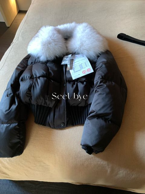 image_08F80498-127C-4A90-8DC6-5D3521937654_1767321859