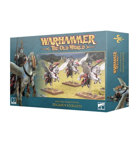 https___trade.games-workshop.com_assets_2024_01_TR-06-09-99122703006-WHTOW KOB Pegasus Knights