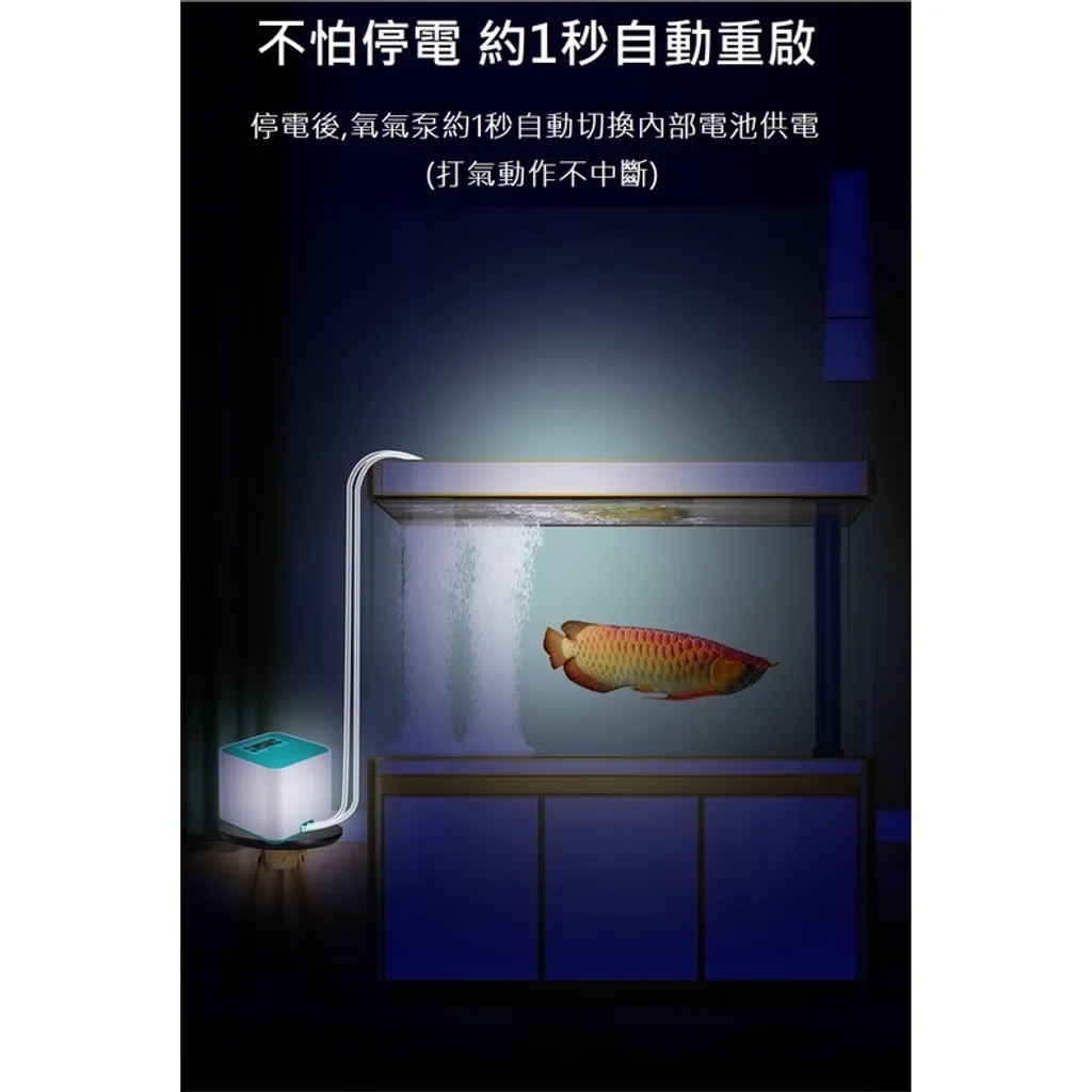 sg-11134201-22120-zadhxro0d3kv20