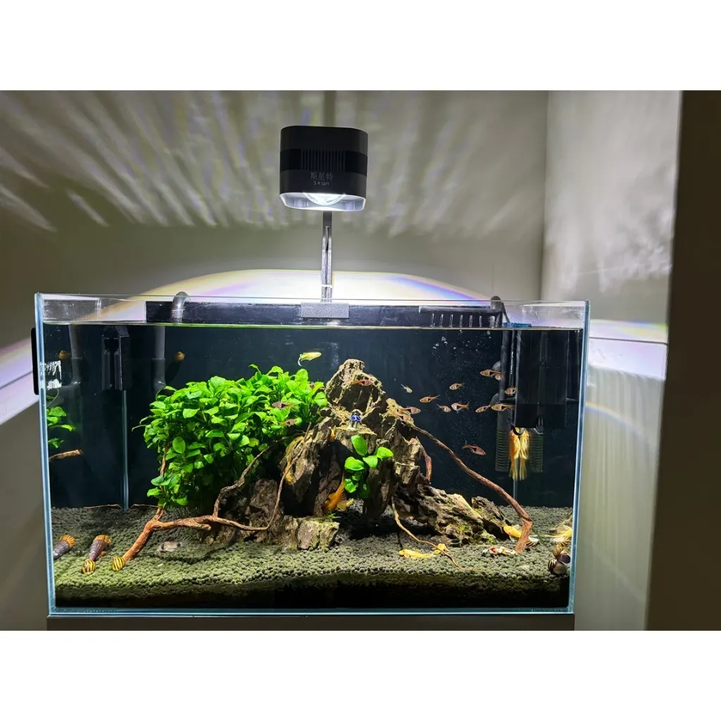 tw-11134207-7r98y-ltkxpqpq83u724