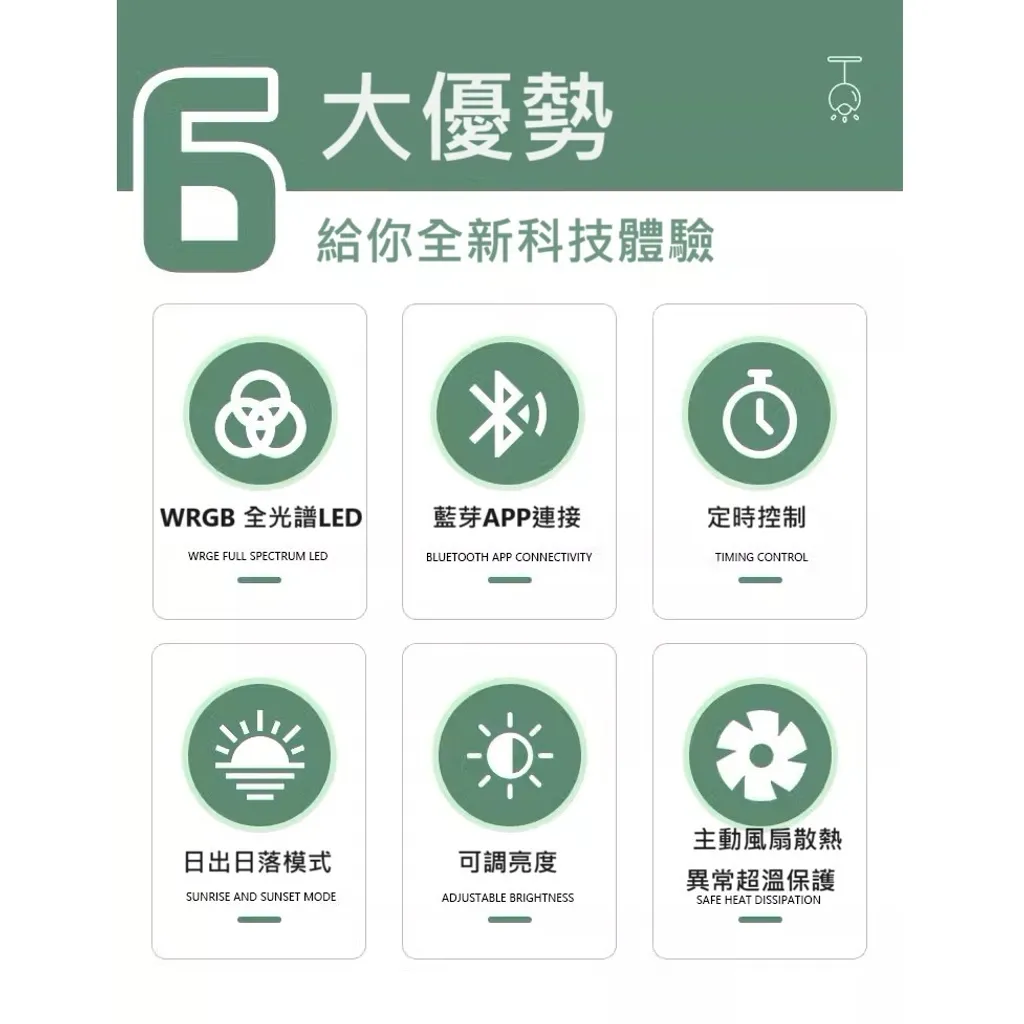 tw-11134207-7r98p-ltkxpqpr1lsrb1