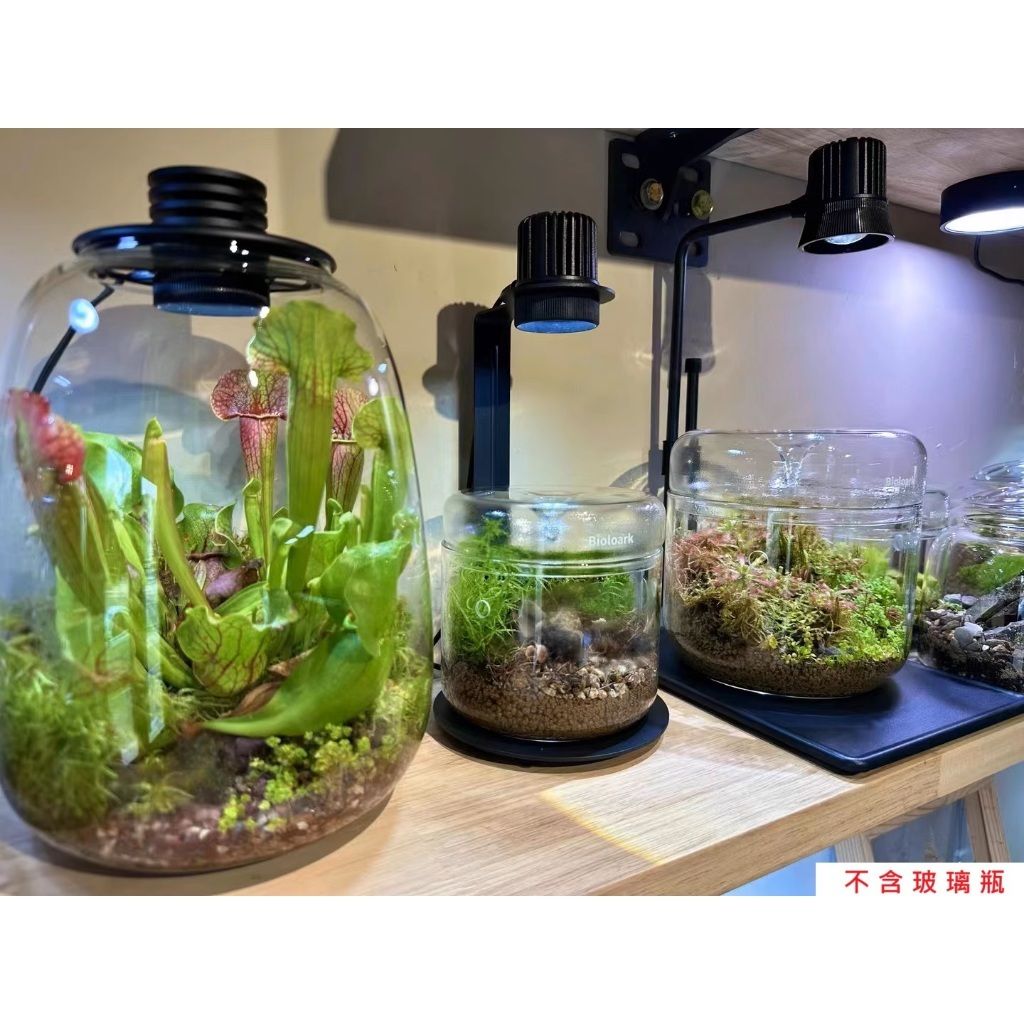 tw-11134207-7rasc-m6b9x1i0a2l2f4