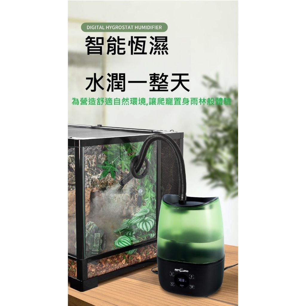 tw-11134207-7rbkd-m6gzqxcpe3dkf0