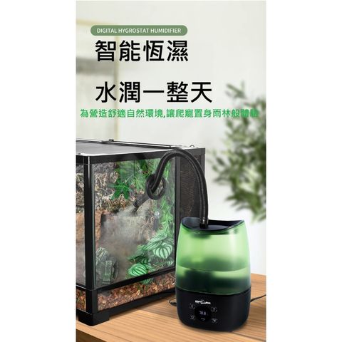 tw-11134207-7rbkd-m6gzqxcpe3dkf0