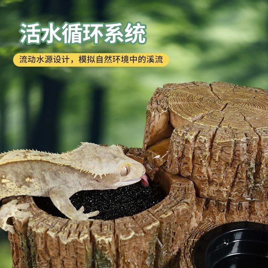 tw-11134207-7rbkb-m6gx8lk7yfokab