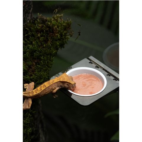 tw-11134207-7rasl-m0n9nnkrpbyr78