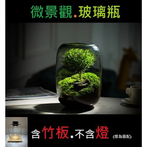 tw-11134207-7r98y-lvgyj6w6dhta45