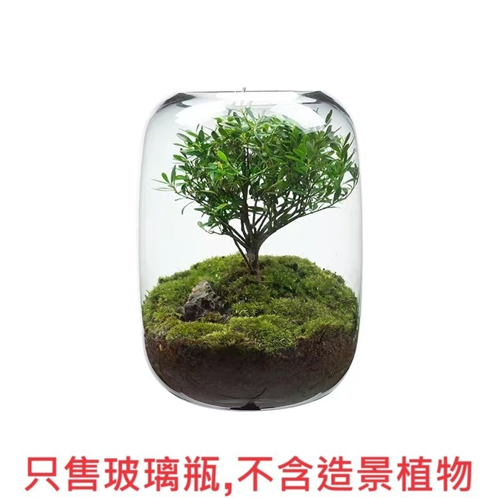 tw-11134207-7r98q-lvgyj6w6lx7yea