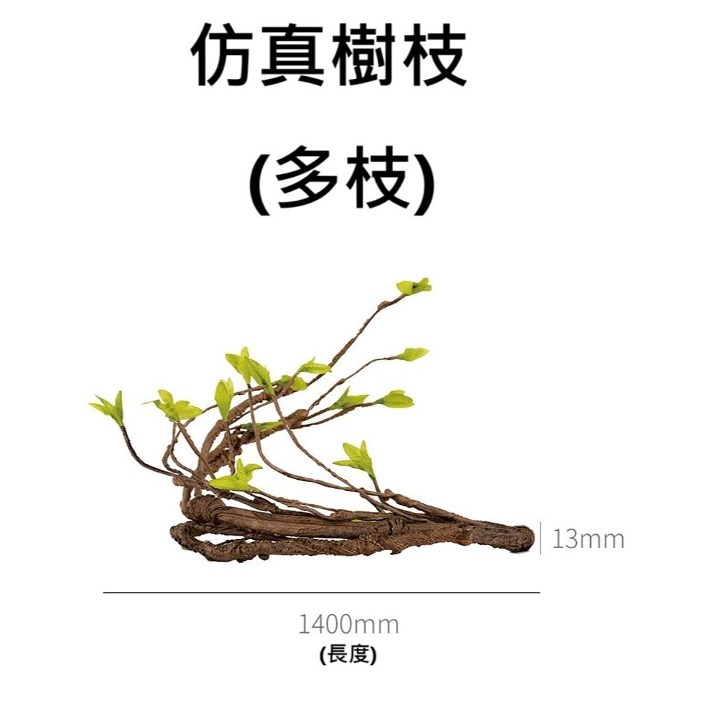 tw-11134207-7rasi-m1785mv9cgivf7