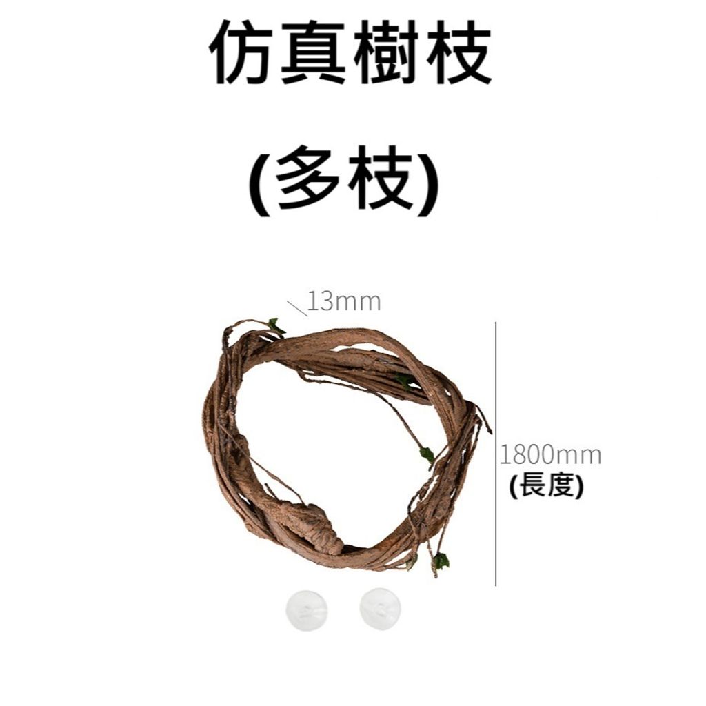 tw-11134207-7rash-m17868w940bra2