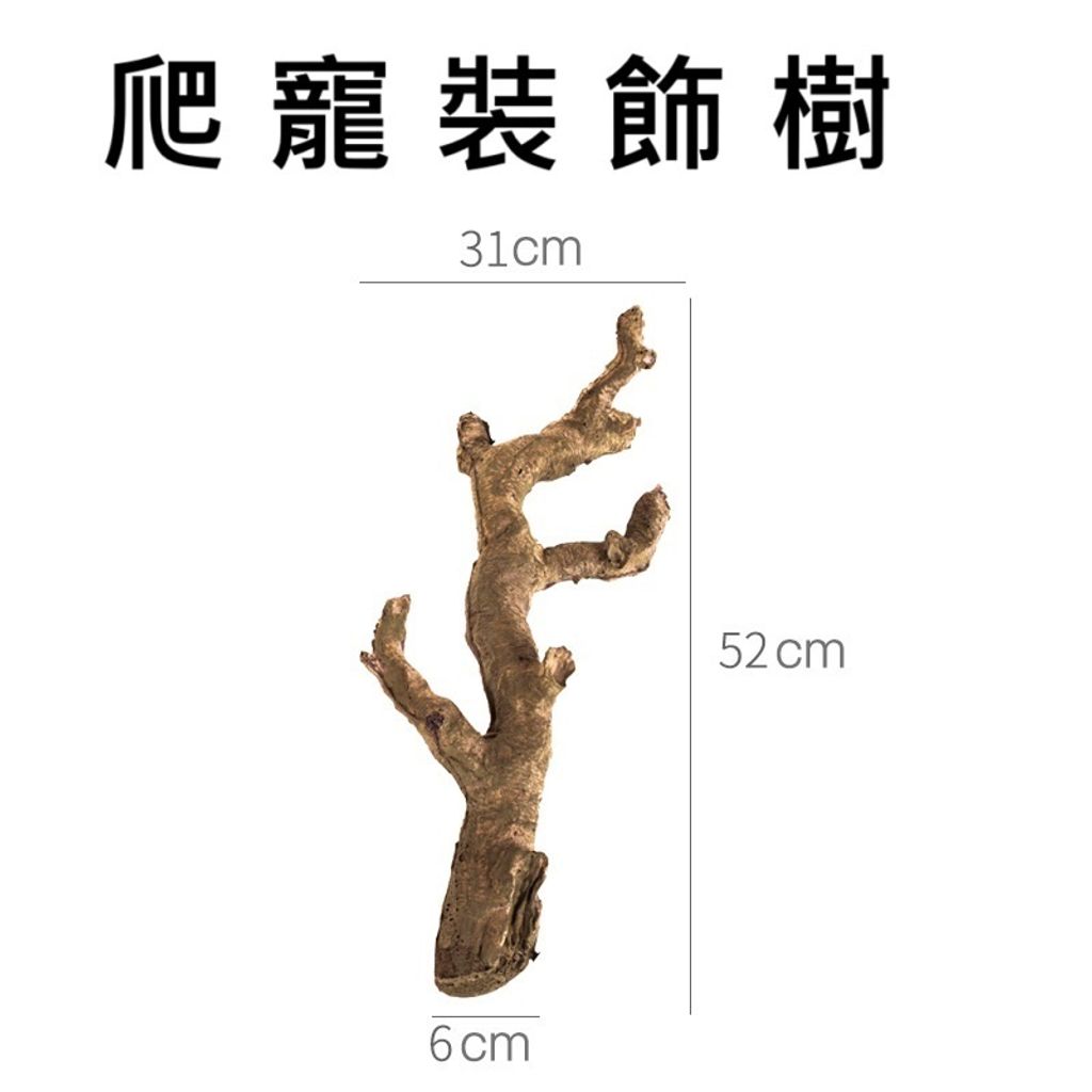 tw-11134207-7rasg-m1786ce7zniwbc