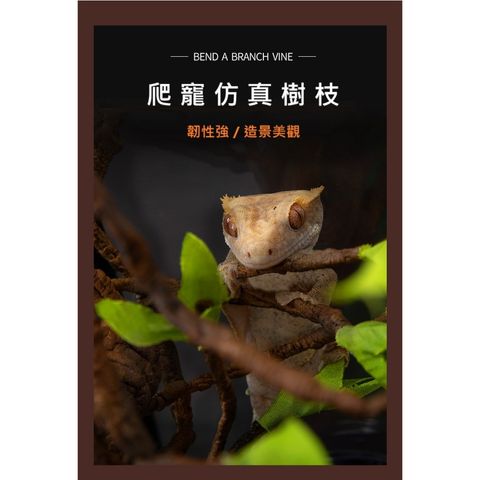 tw-11134207-7rasf-m177mlcgohy0f2