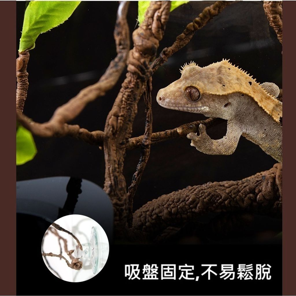 tw-11134207-7rasg-m177mlcgka8o23