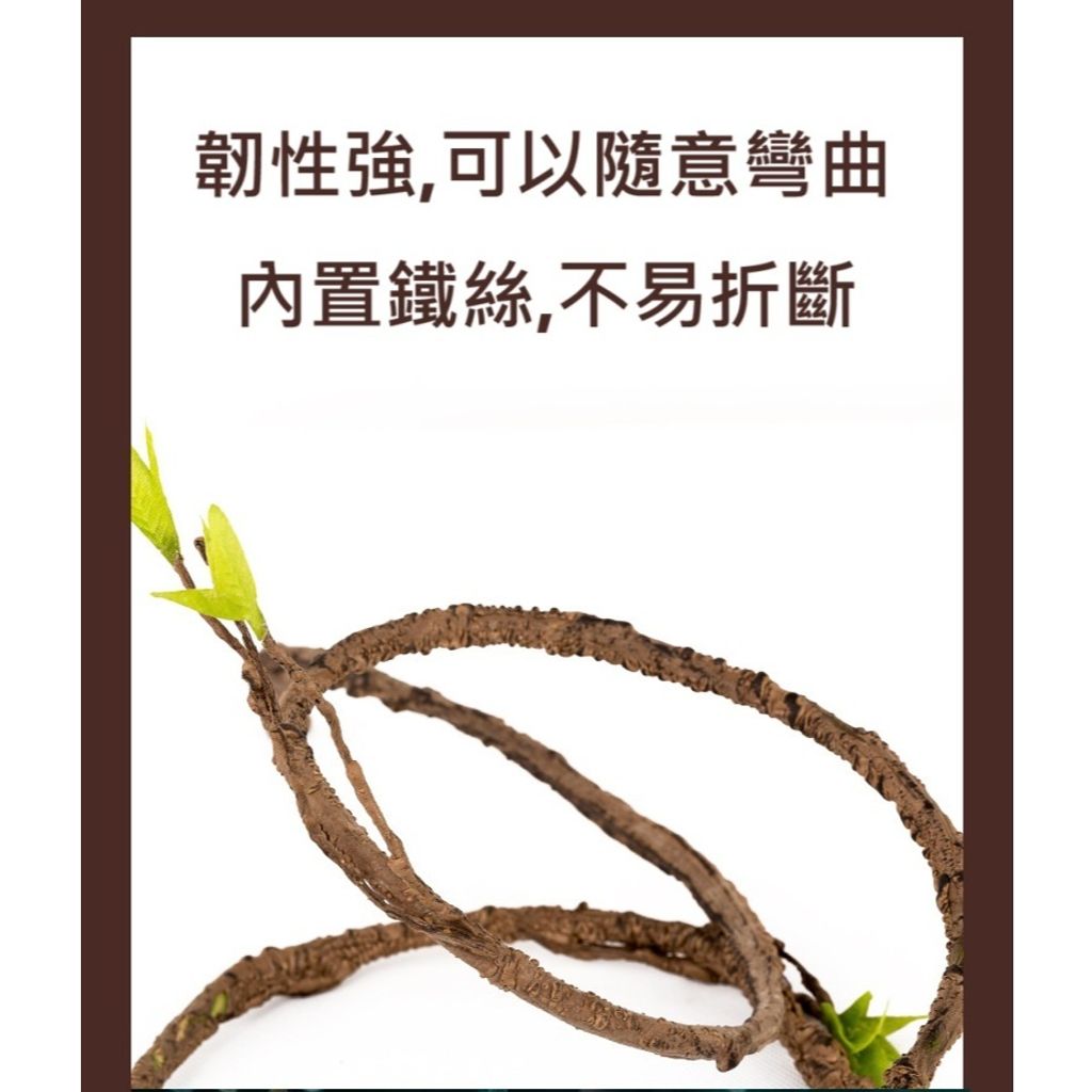 tw-11134207-7rasf-m177mlcgkasn71