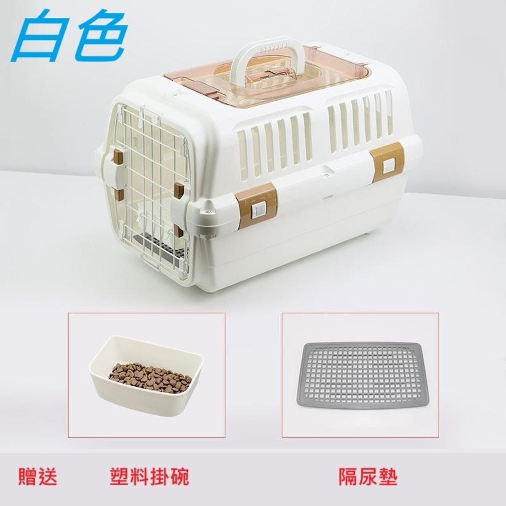 tw-11134207-7rash-m2pa2s9mjvrfbe