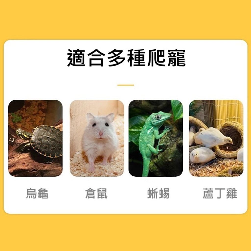 tw-11134207-7rash-m37u53iwqlp3c0