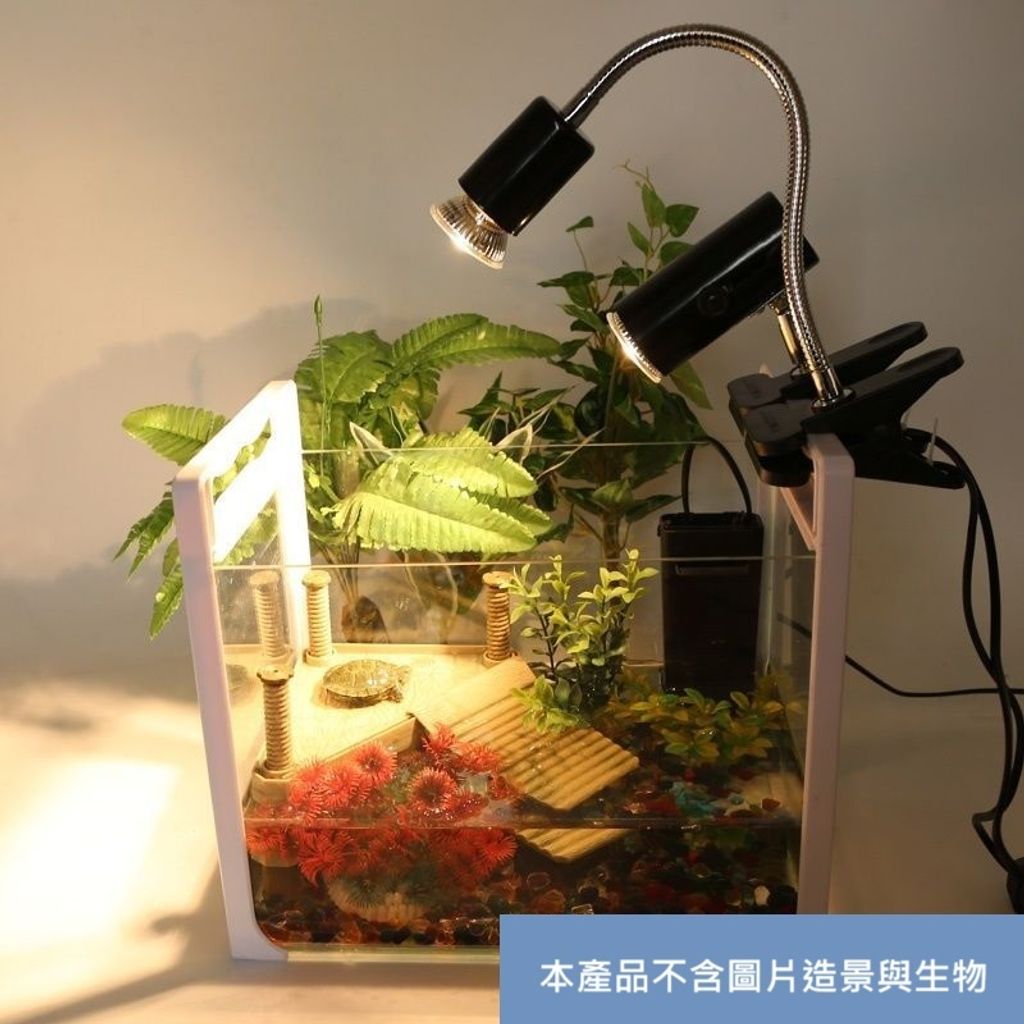 tw-11134207-7rase-m37u53iwp74ncf