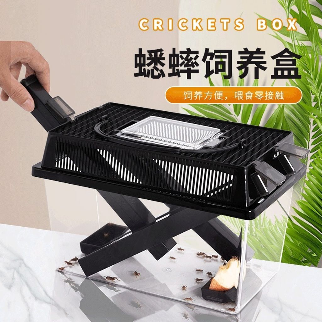 tw-11134207-7rask-m0n8nyurnsnncb