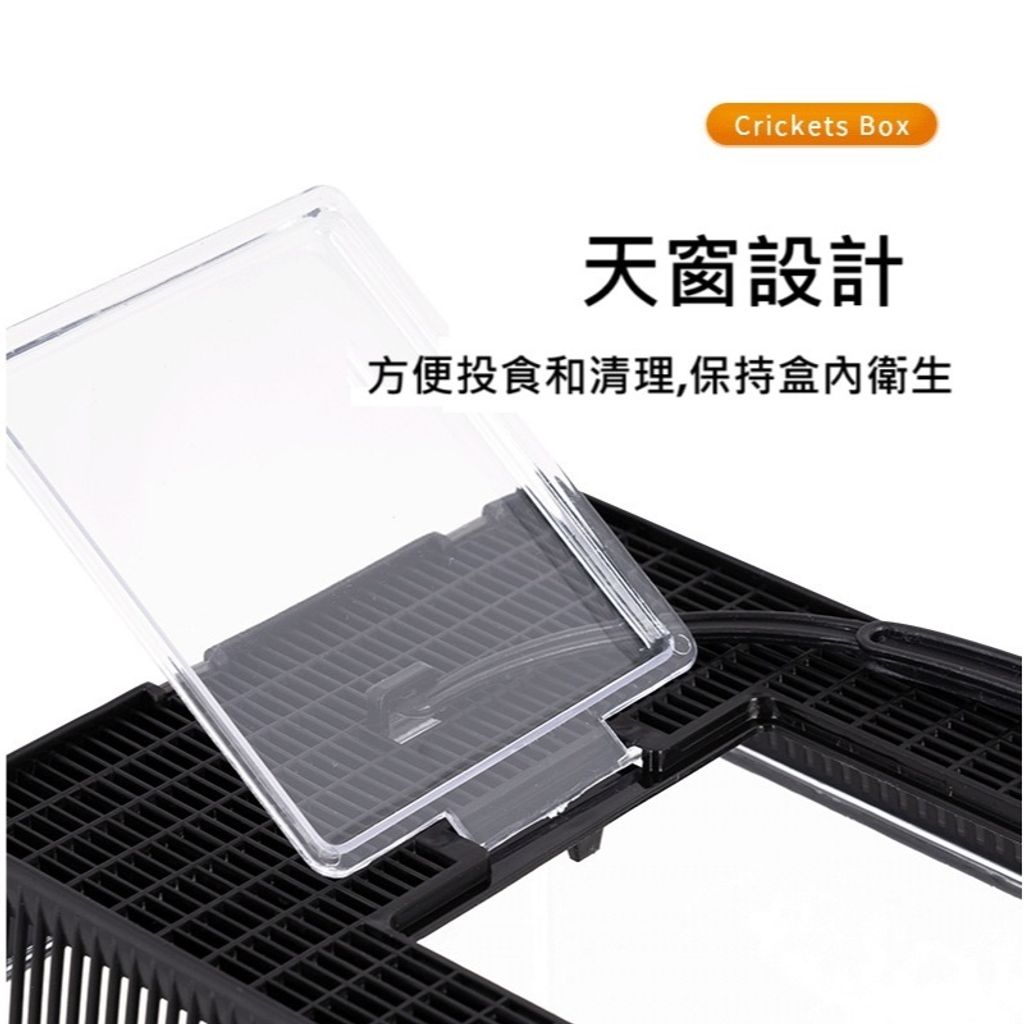 tw-11134207-7rase-m0n8nyuhplgn33