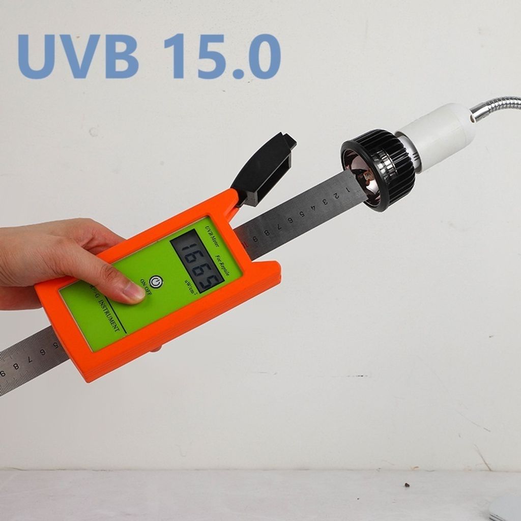 tw-11134207-7rash-m39edqwywoyf06