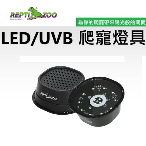 tw-11134207-7rasi-m175sca8rulj66