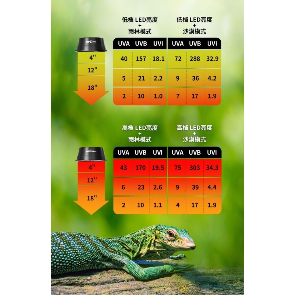 tw-11134207-7ras8-m175sca8w1qw46