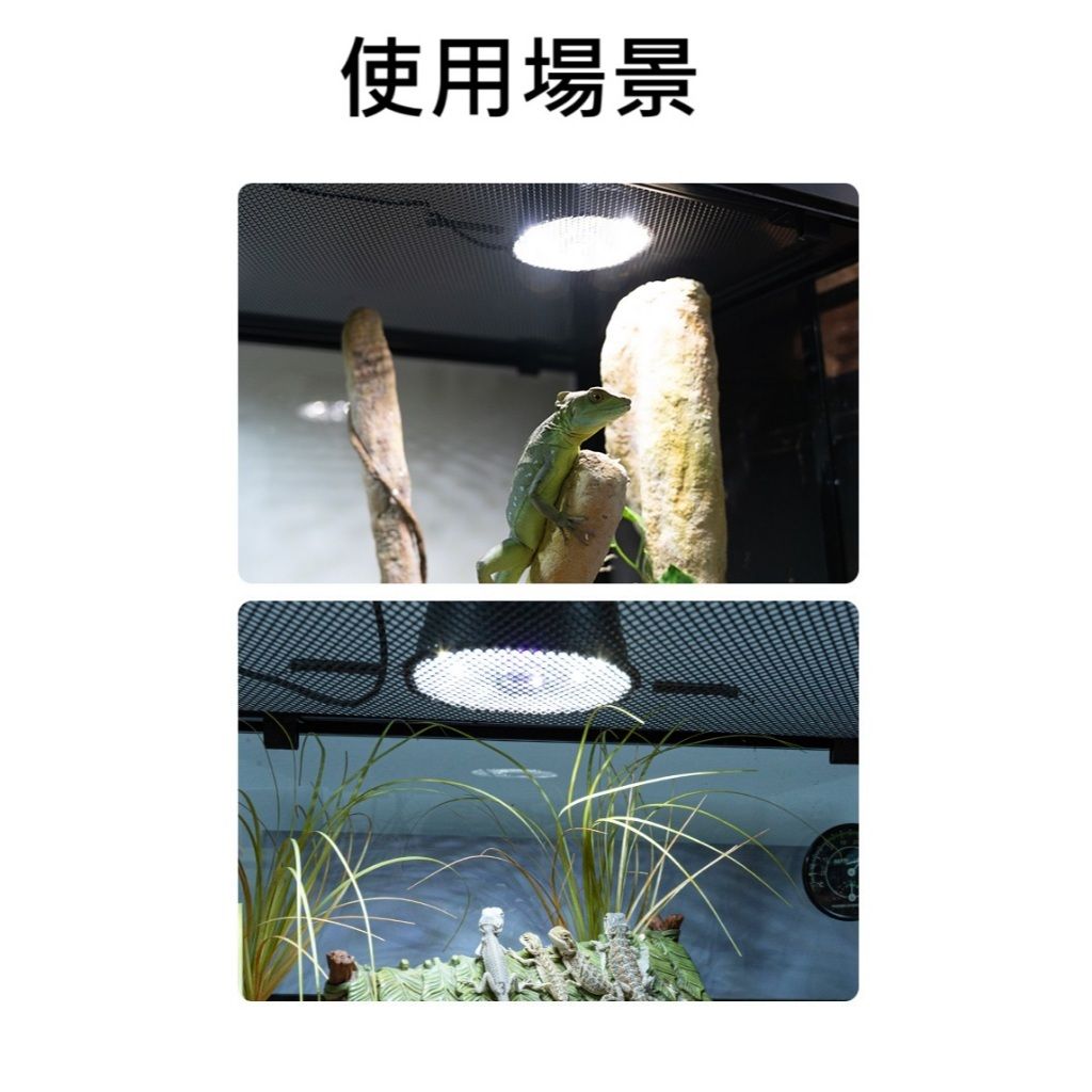 tw-11134207-7ras8-m175sca8un6g61