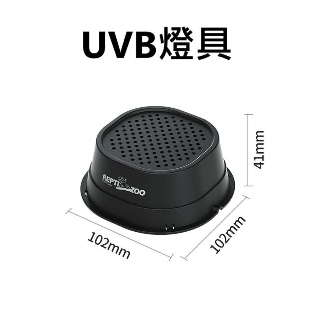 tw-11134207-7rash-m175sca8unqfd9