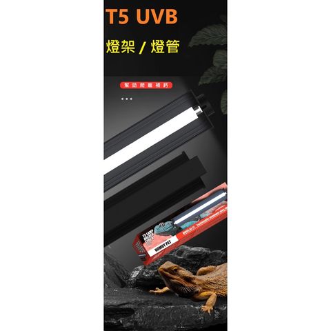 tw-11134207-7rask-m3aupj5nxkpmf1