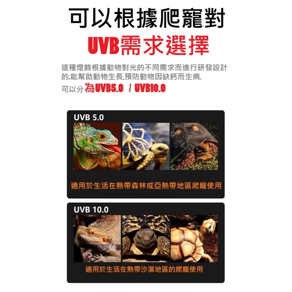 tw-11134207-7rasl-m3aupj5nw67h3d