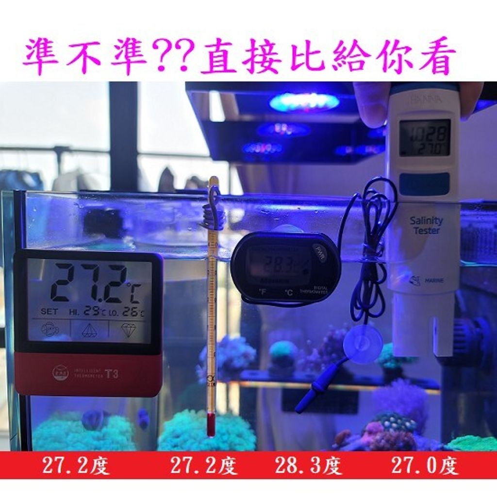 24f7de338bb3a04c149a1dbde13f3f45