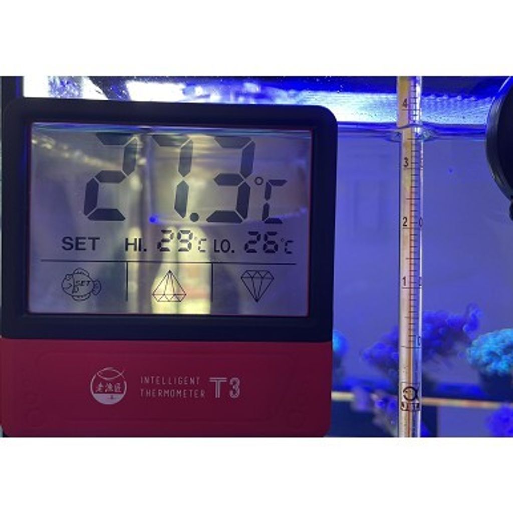 899eaeb45c8608953e90c2016fdd1206