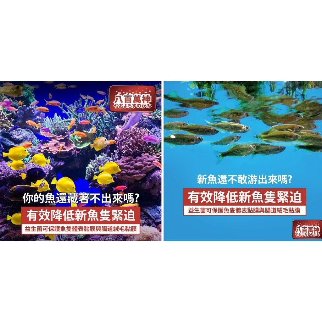 3df960d0a0cbe3bd6d7e6594f3cc212f