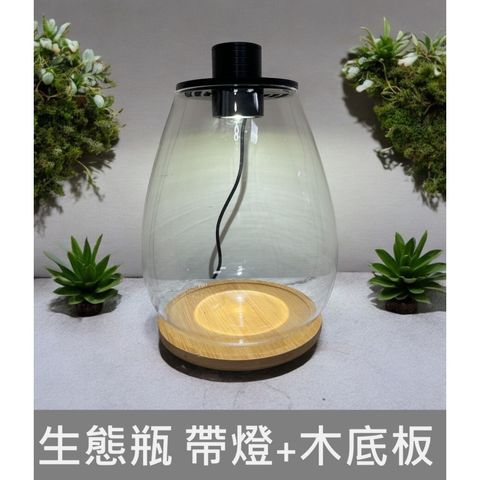 tw-11134207-7r98y-lxlbftr9n5tc4a