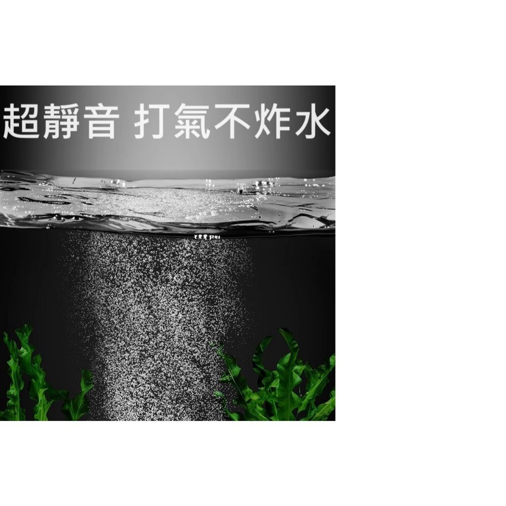 tw-11134207-7r98w-lz7ubqgxgbvi70