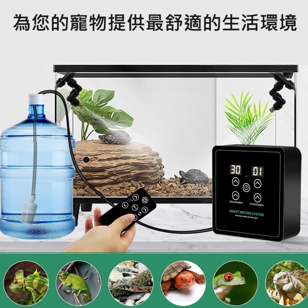 tw-11134207-7r98x-lz999ldgpcta81