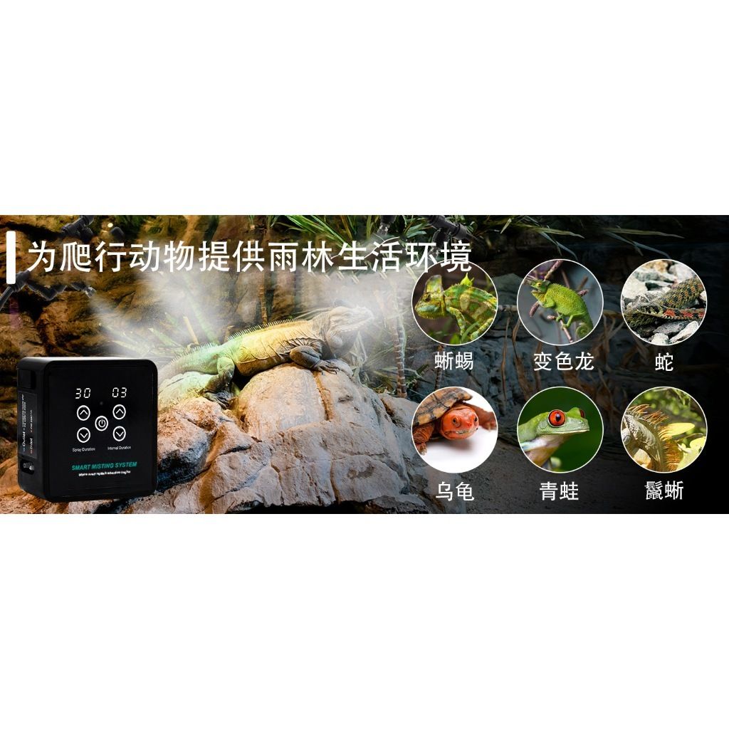 tw-11134207-7r98s-lz999ldguz3298