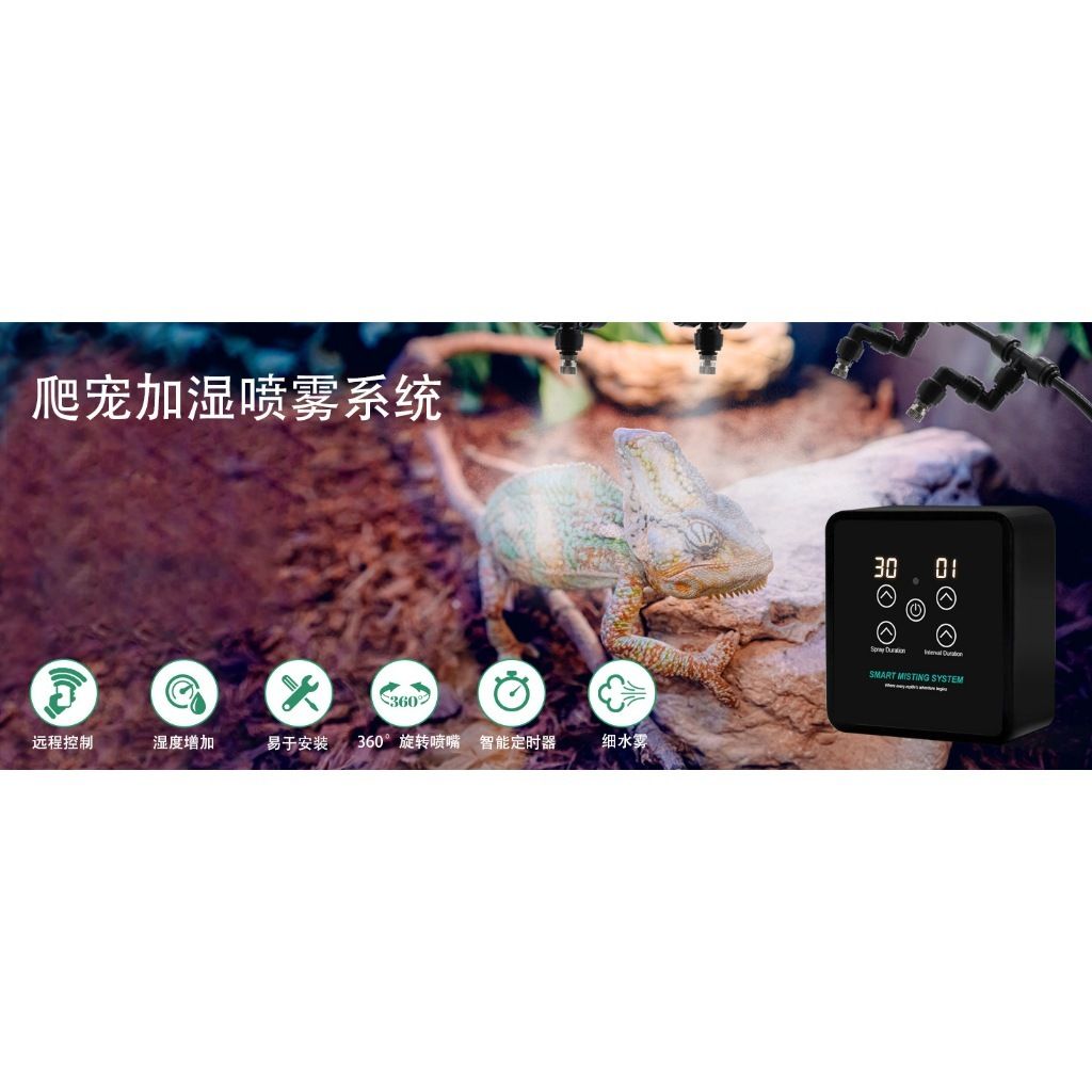 tw-11134207-7r991-lz999ldgqrdq53